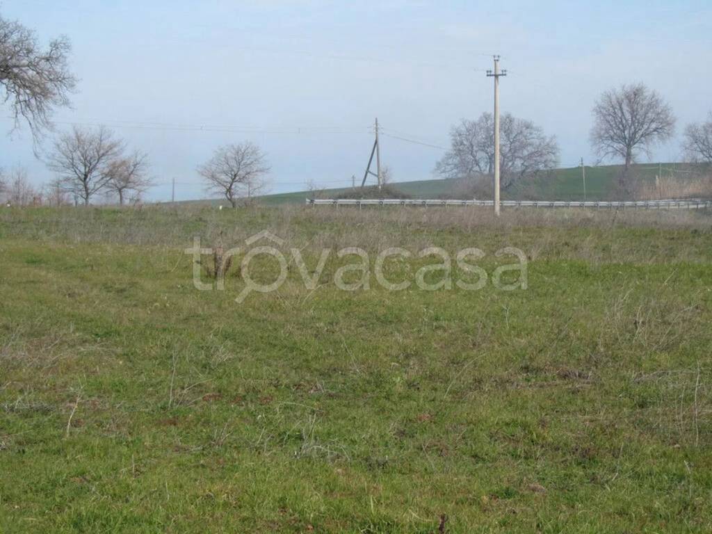 immagine annuncio 6 di 8