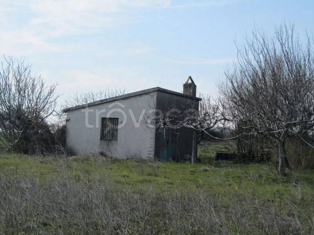 immagine annuncio 7 di 8