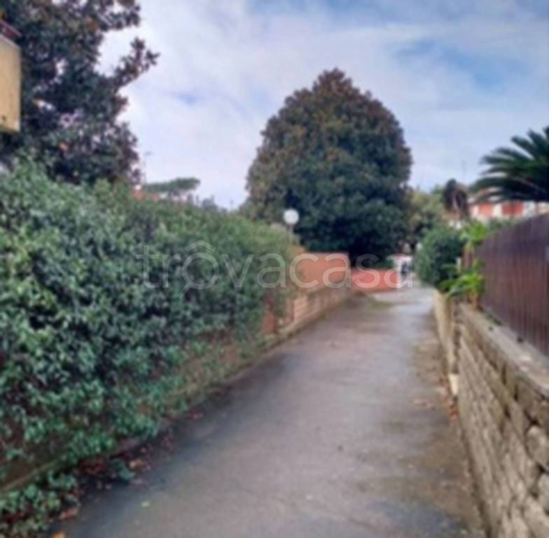 immagine annuncio 8 di 14