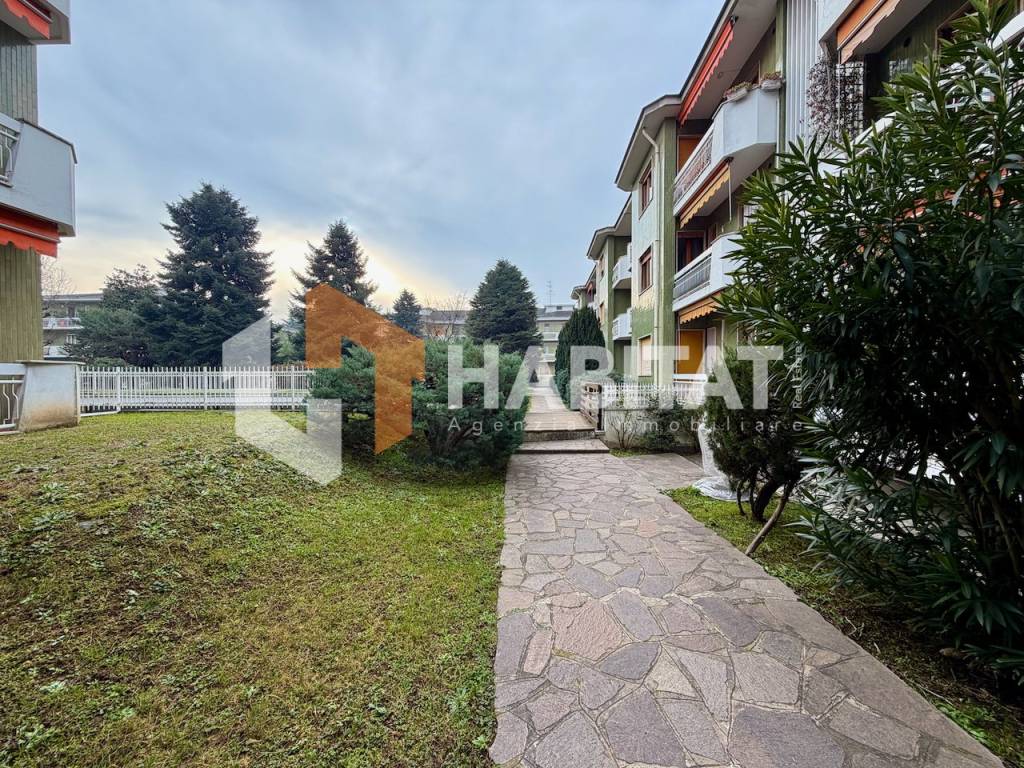 immagine annuncio 6 di 15