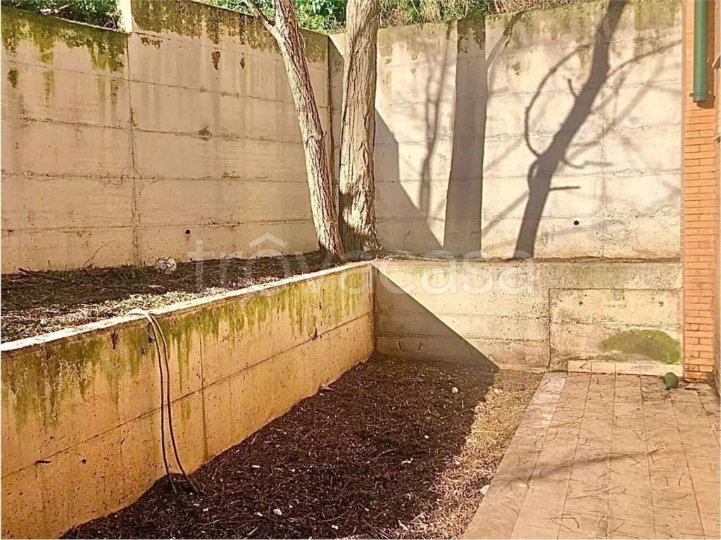 immagine annuncio 7 di 8