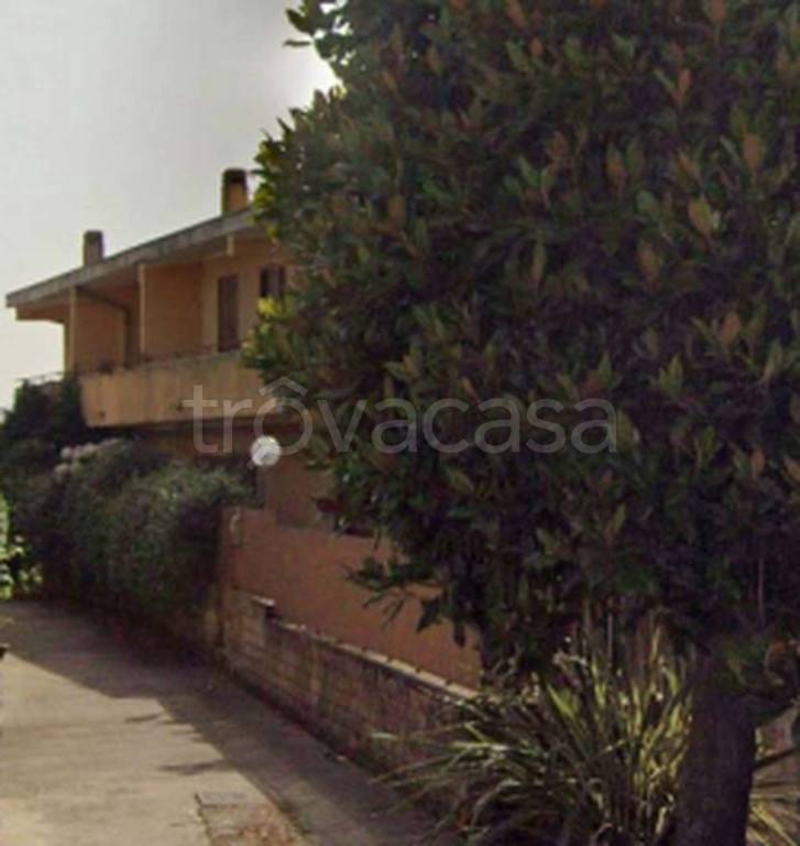 immagine annuncio 13 di 14