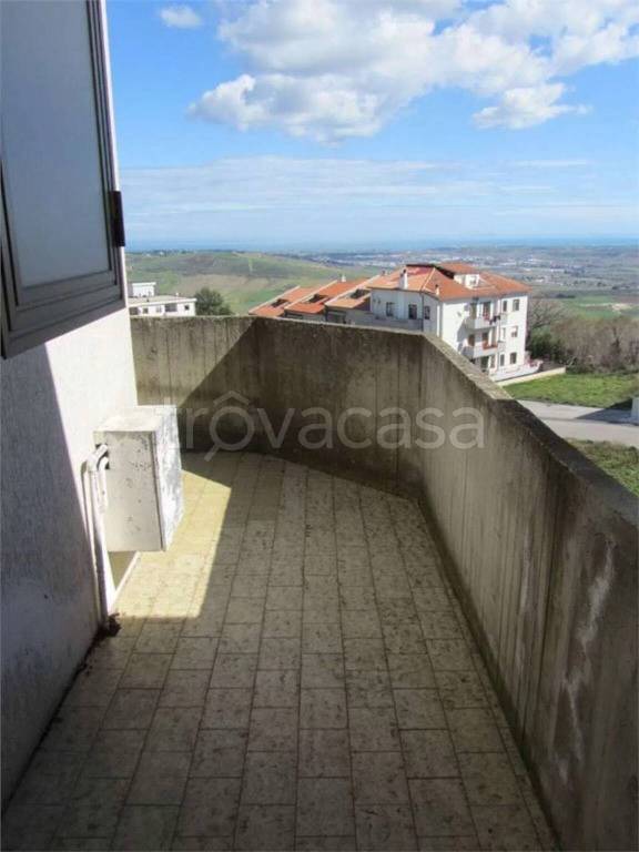 immagine annuncio 3 di 14