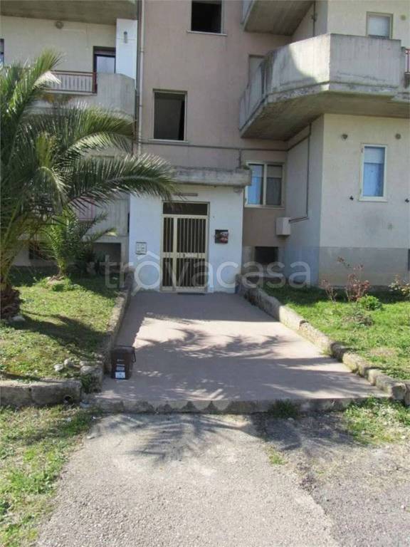 immagine annuncio 7 di 14