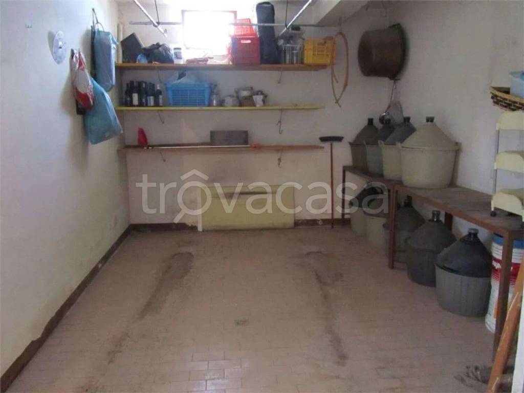 immagine annuncio 11 di 14