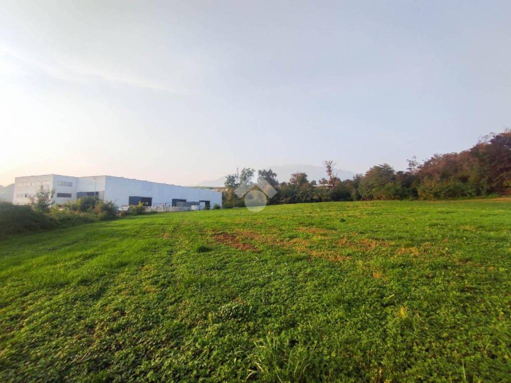 immagine annuncio 1 di 3