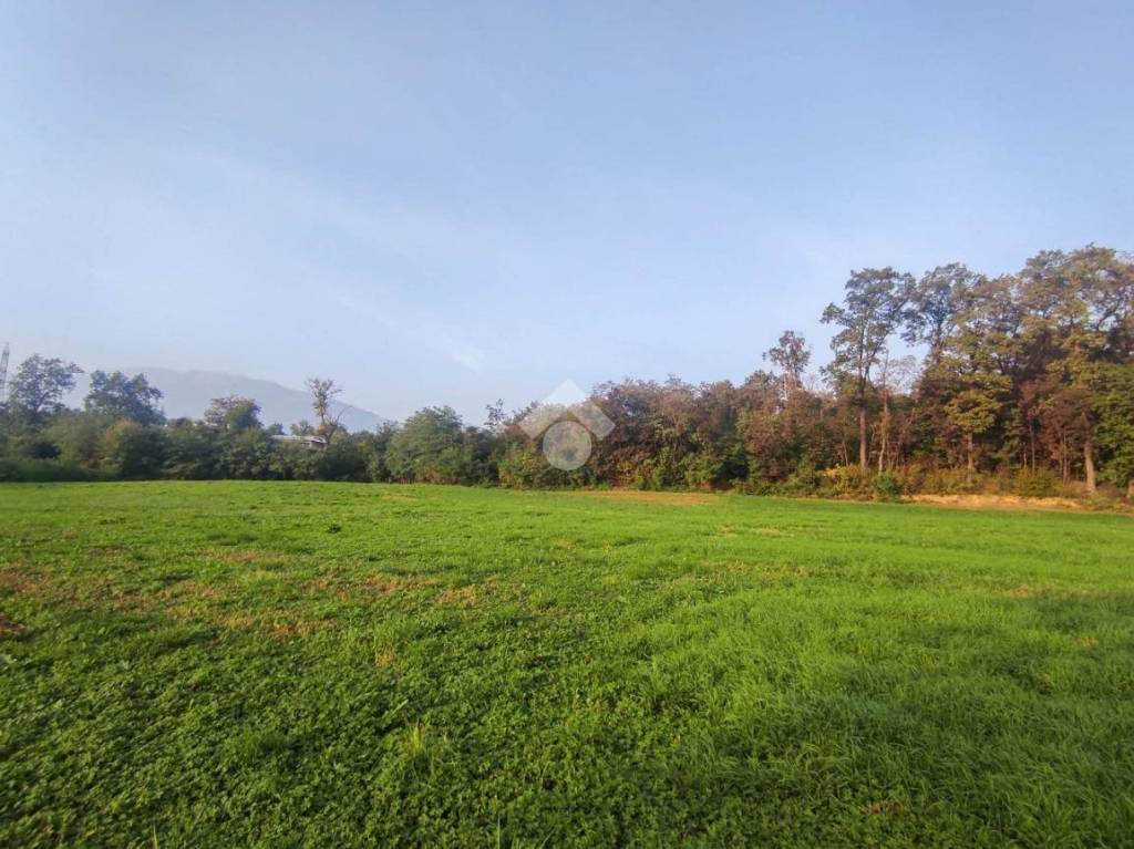 immagine annuncio 2 di 3