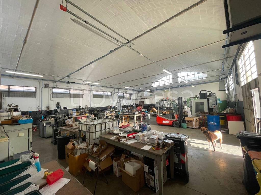 immagine annuncio 6 di 11