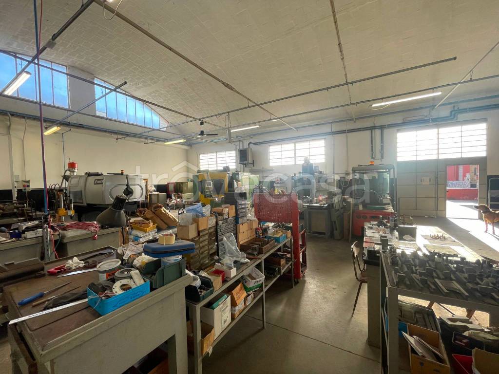 immagine annuncio 8 di 11