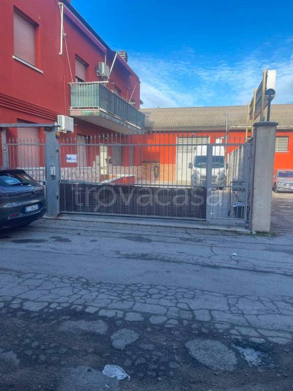 immagine annuncio 2 di 11