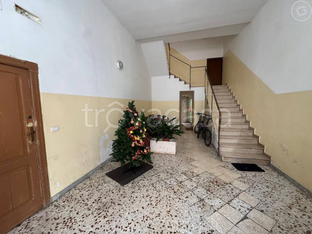 immagine annuncio 9 di 12