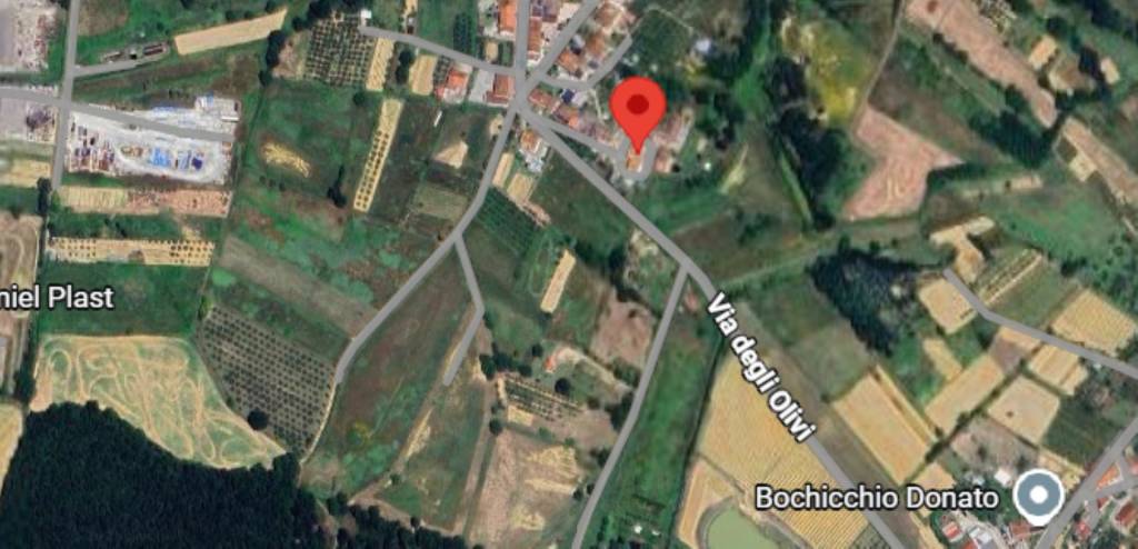 immagine annuncio 5 di 11