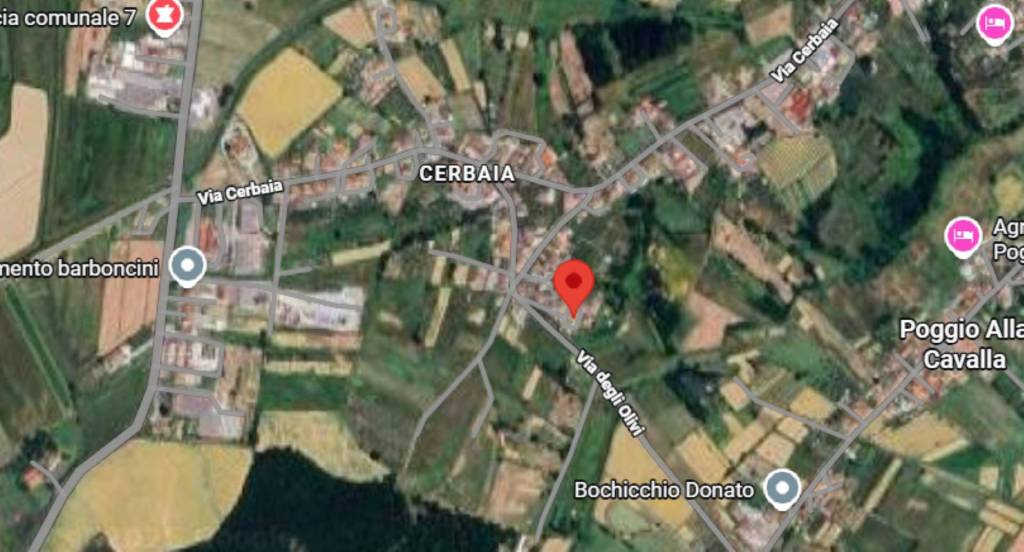 immagine annuncio 6 di 11