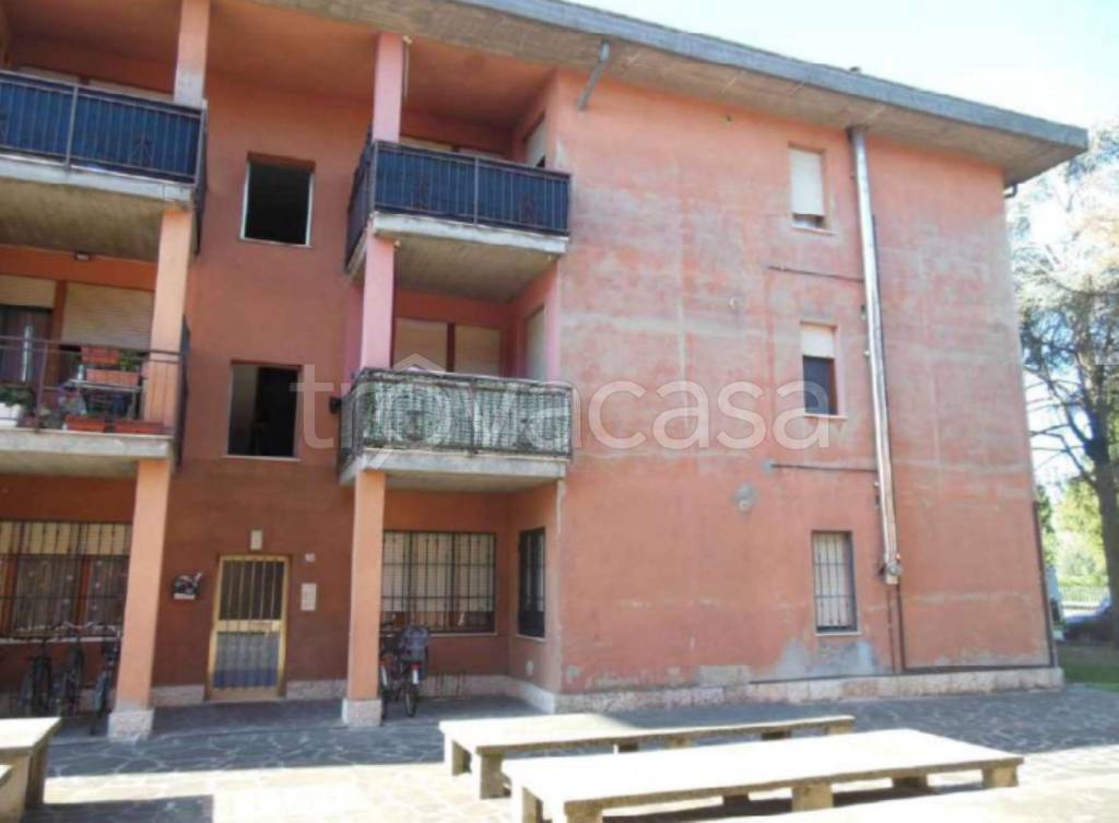 immagine annuncio 2 di 11