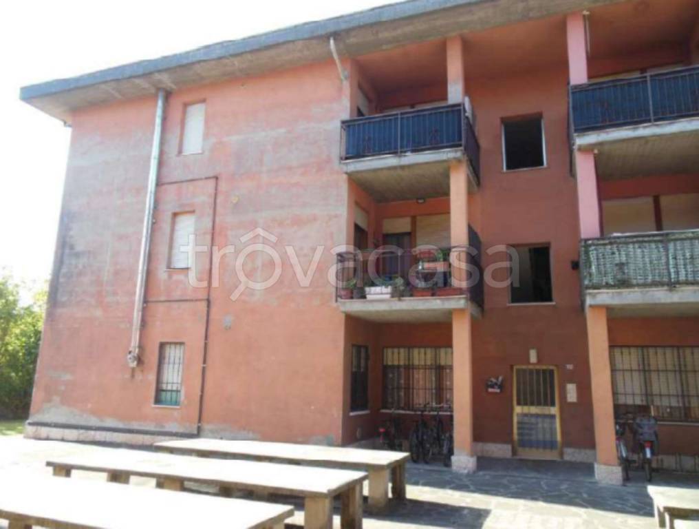 immagine annuncio 3 di 11