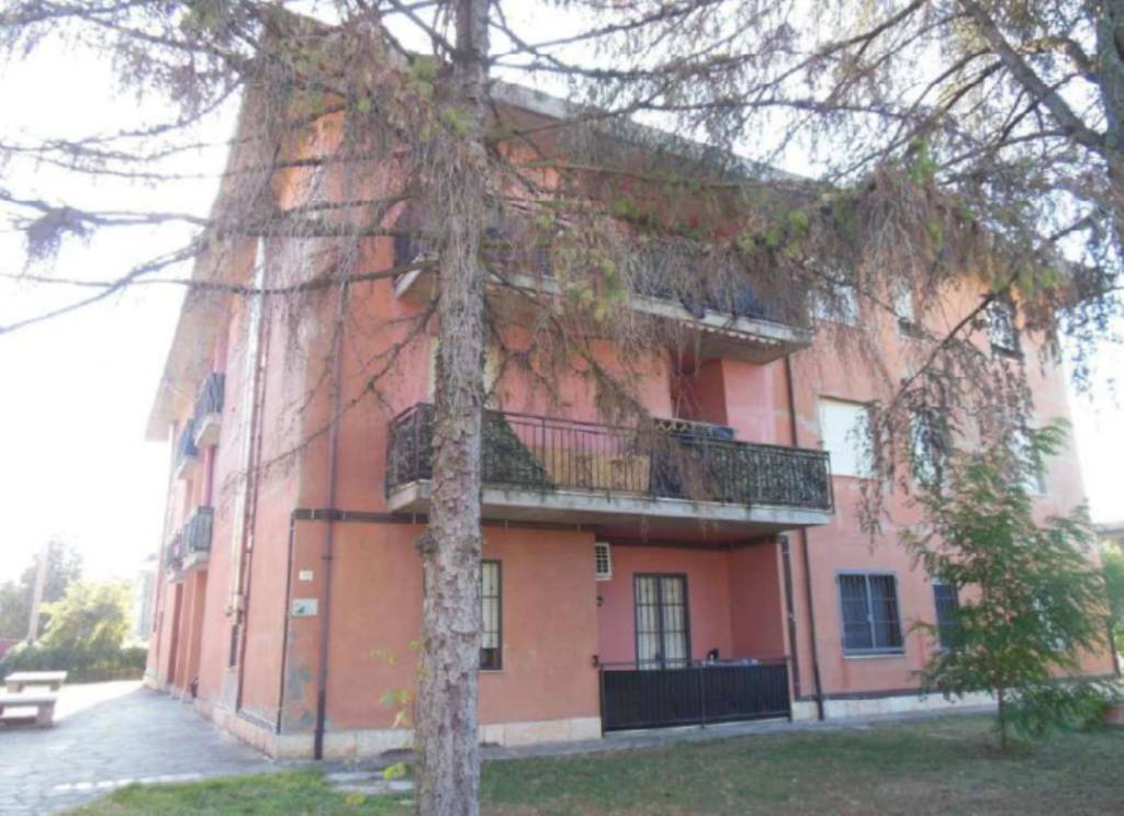 immagine annuncio 4 di 11