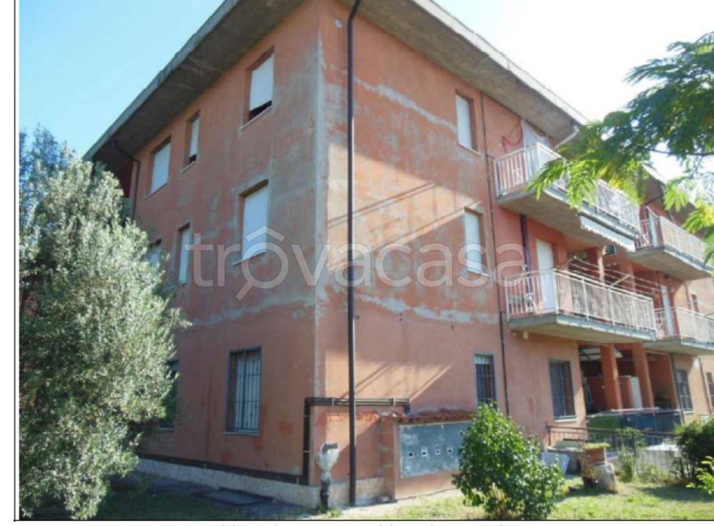 immagine annuncio 5 di 11