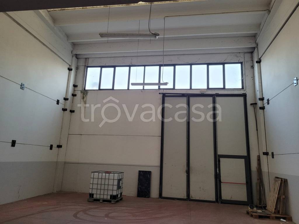 immagine annuncio 1 di 6