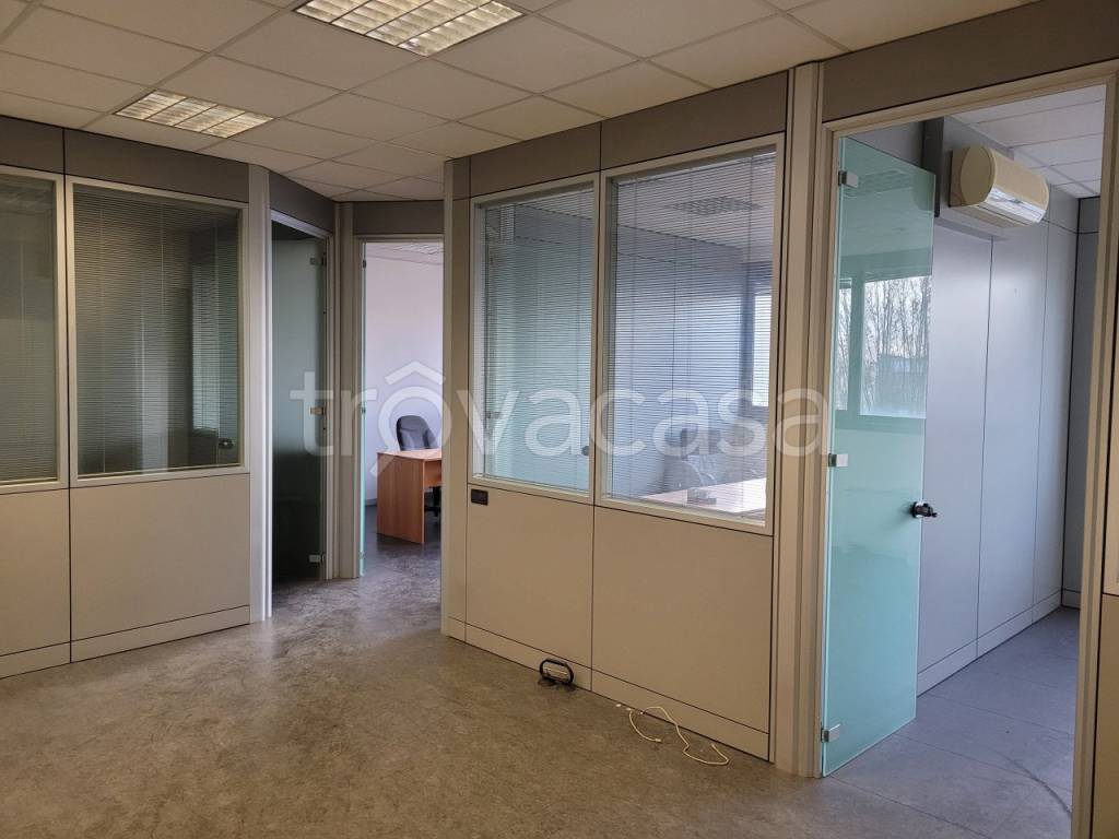 immagine annuncio 2 di 6