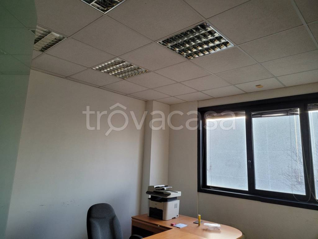 immagine annuncio 5 di 6