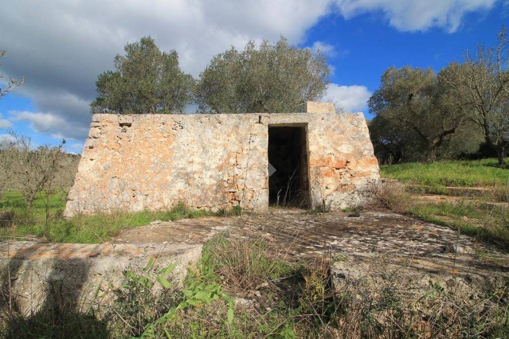 immagine annuncio 1 di 8