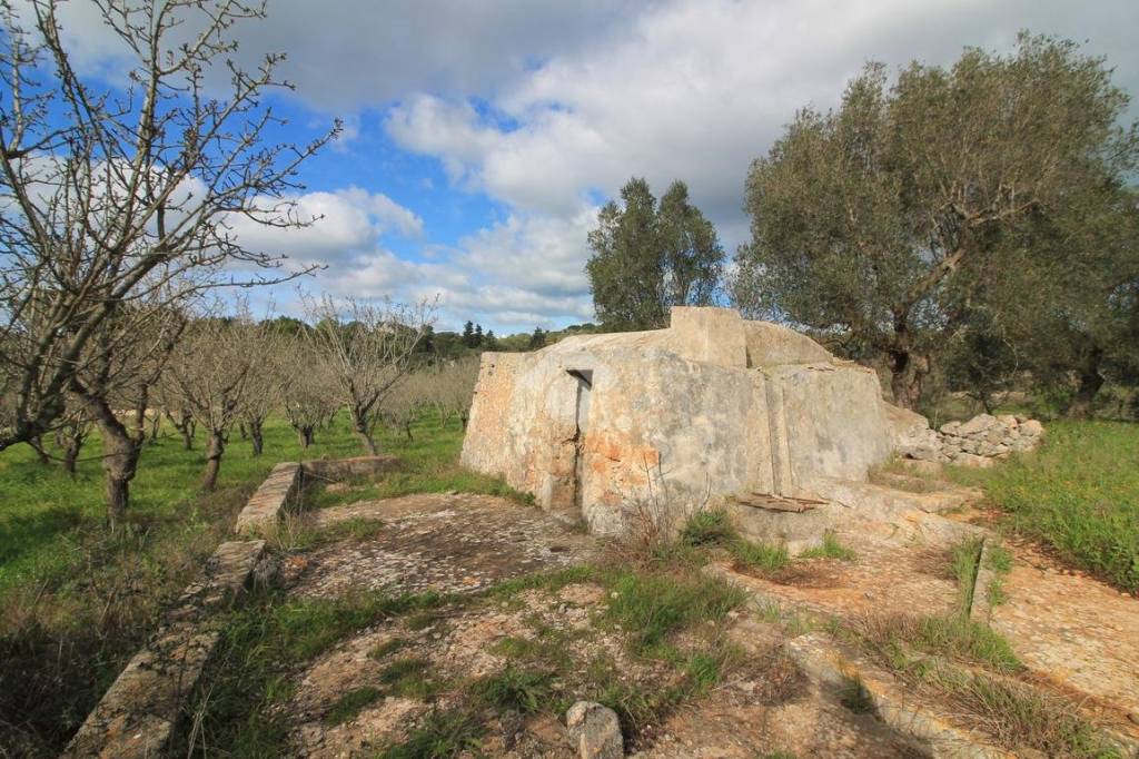 immagine annuncio 2 di 8