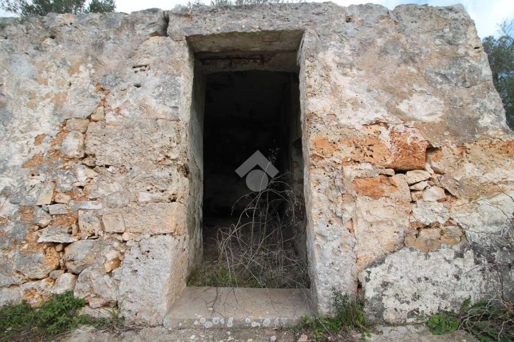 immagine annuncio 3 di 8