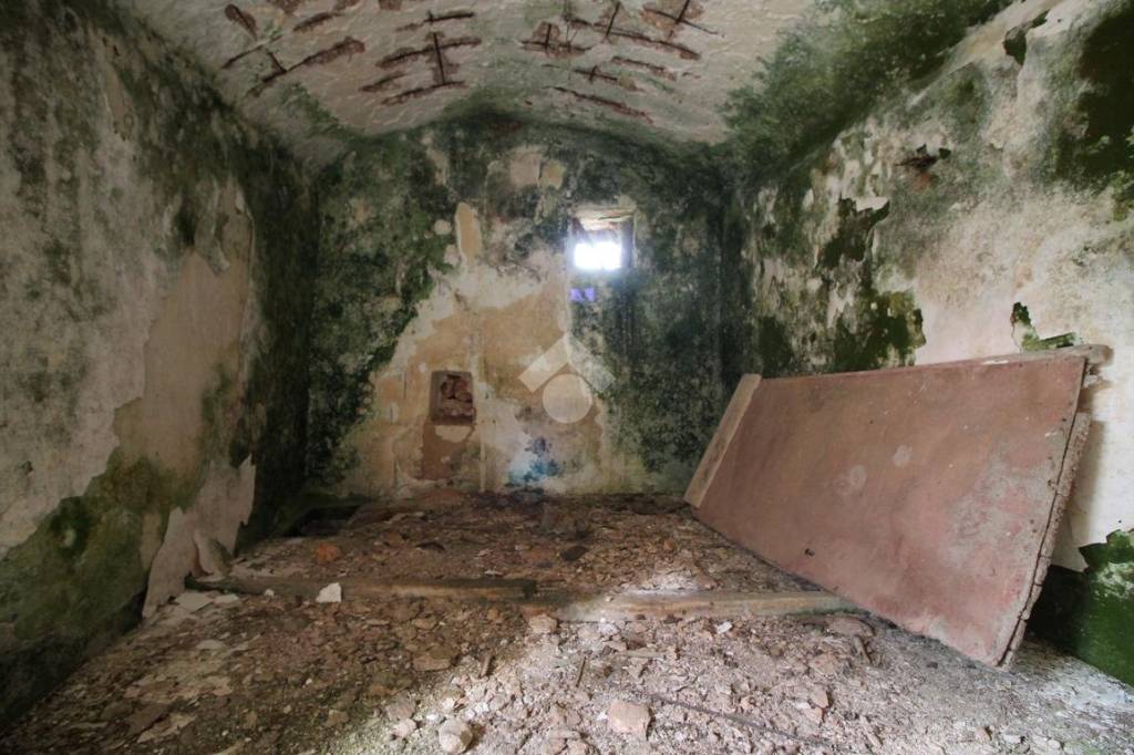 immagine annuncio 4 di 8