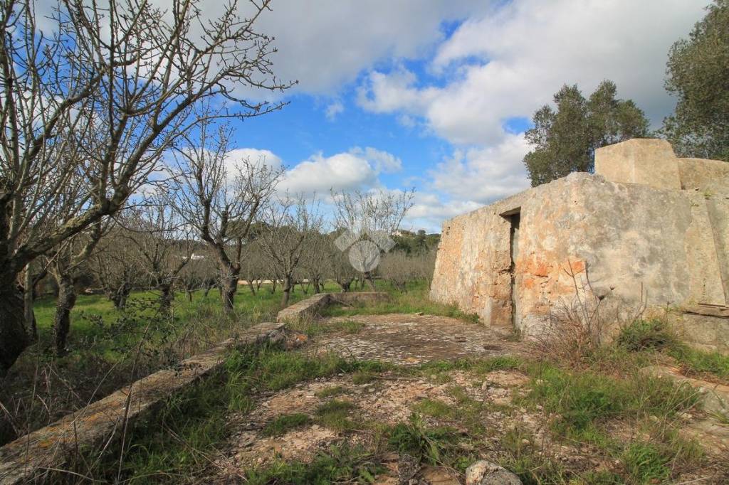 immagine annuncio 5 di 8