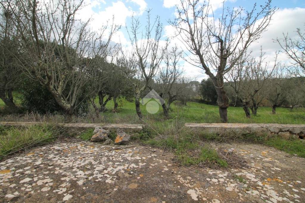 immagine annuncio 7 di 8