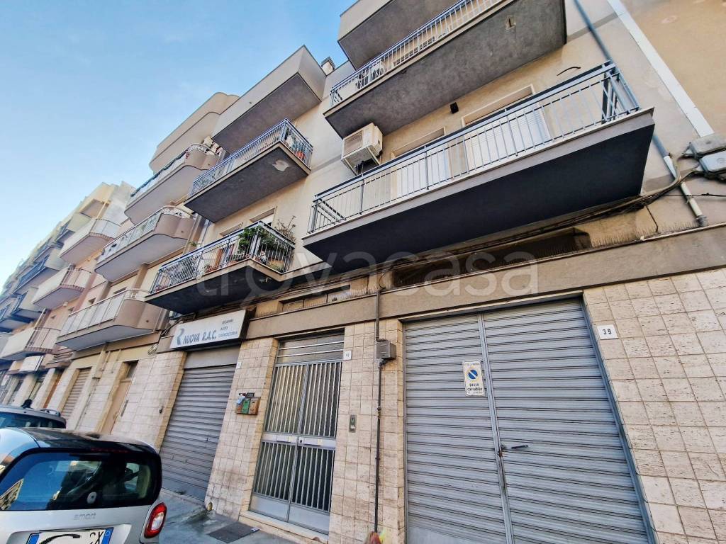 immagine annuncio 12 di 14