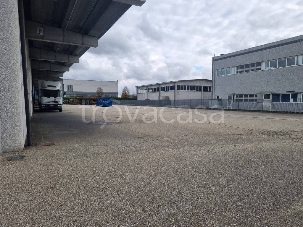 immagine annuncio 5 di 15