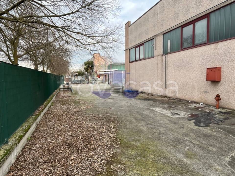 immagine annuncio 1 di 8