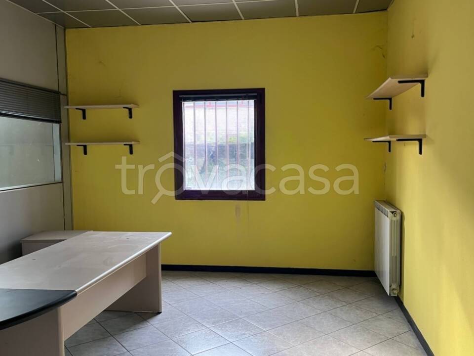 immagine annuncio 4 di 8