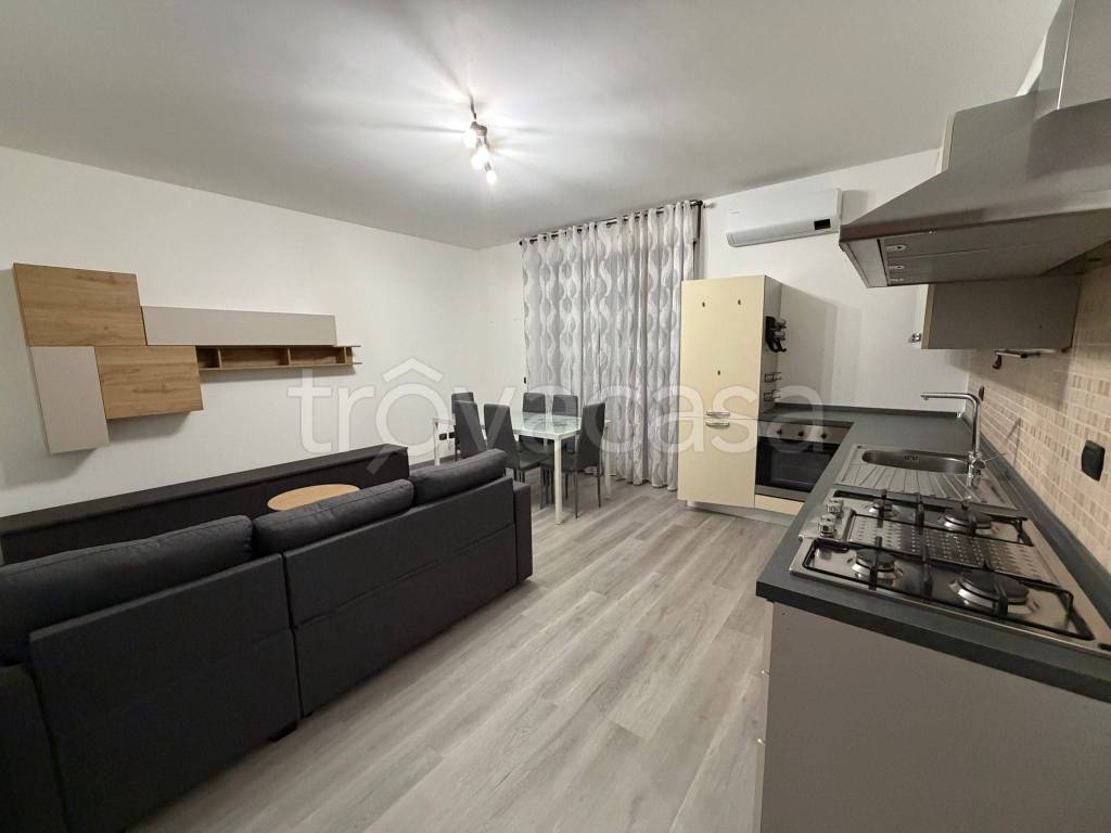 immagine annuncio 1 di 12