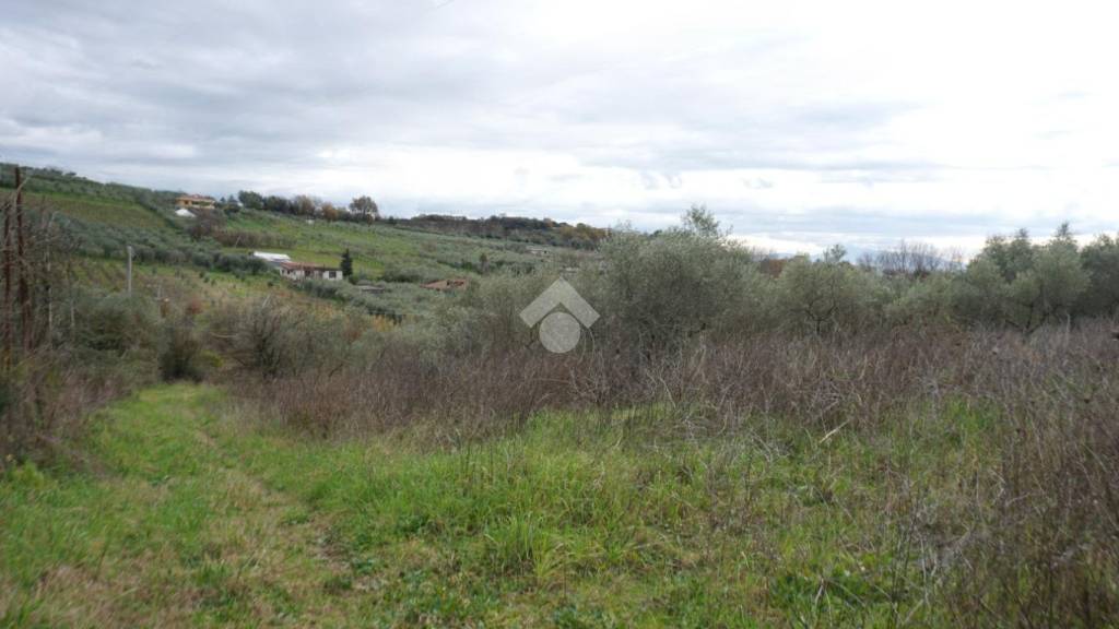 immagine annuncio 3 di 13