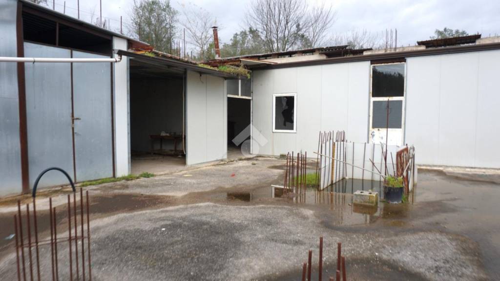 immagine annuncio 5 di 13