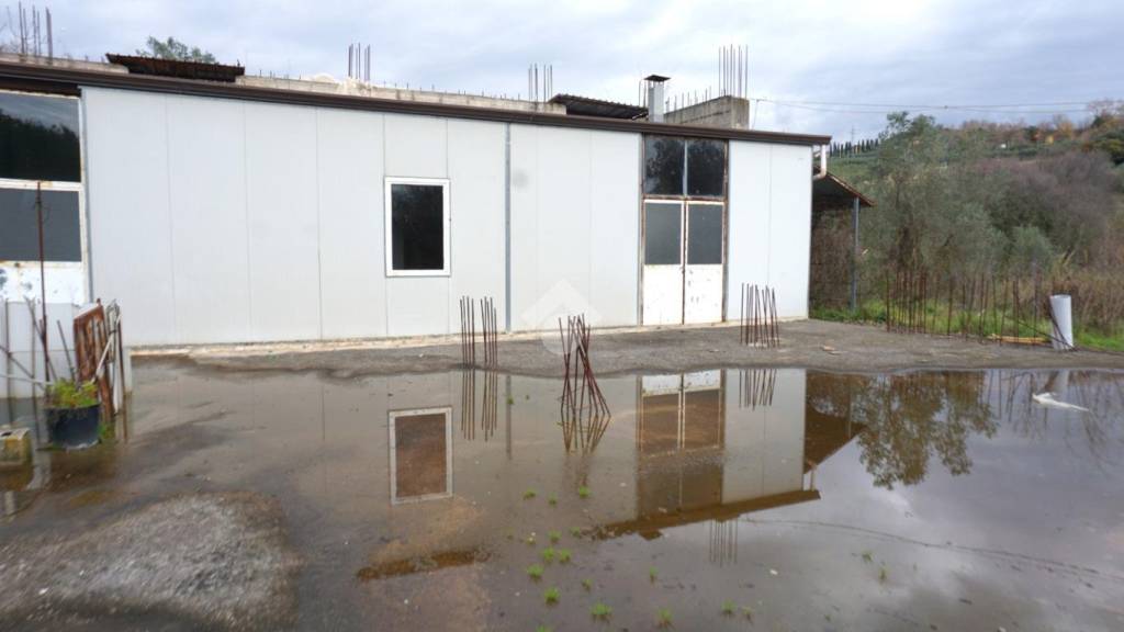 immagine annuncio 8 di 13