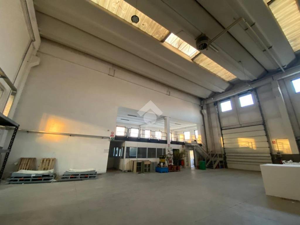 immagine annuncio 11 di 15