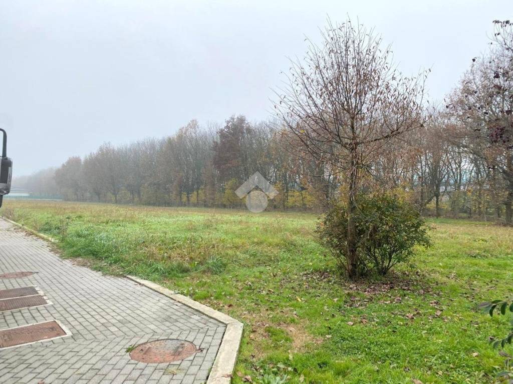 immagine annuncio 1 di 2