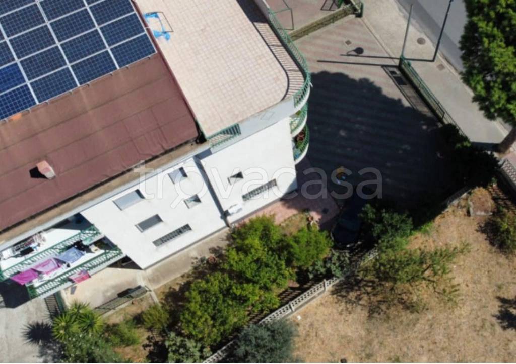 immagine annuncio 4 di 7