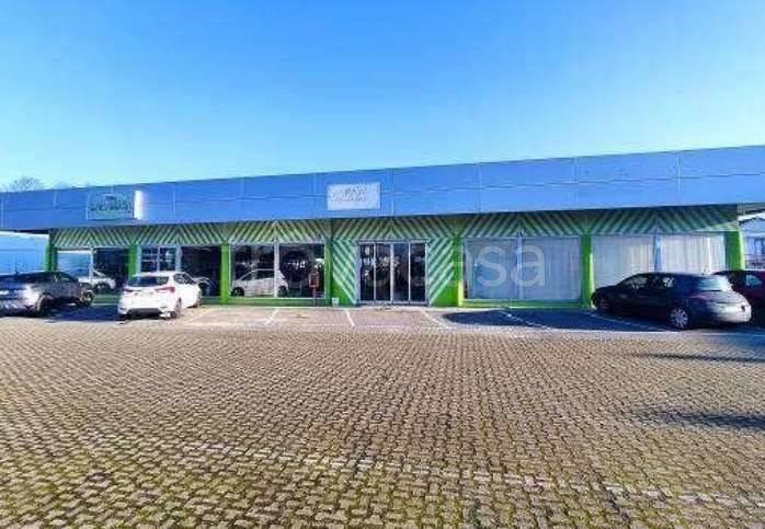 immagine annuncio 2 di 10