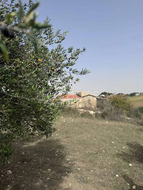 immagine annuncio 5 di 8