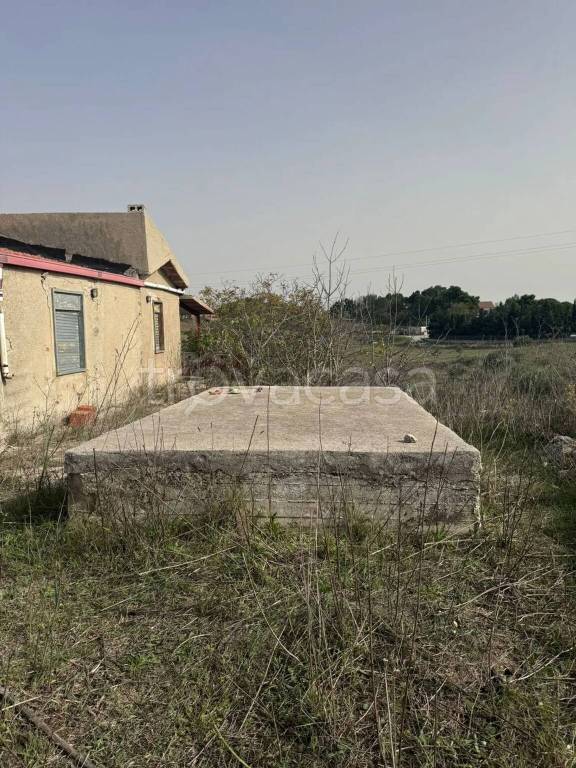 immagine annuncio 6 di 8