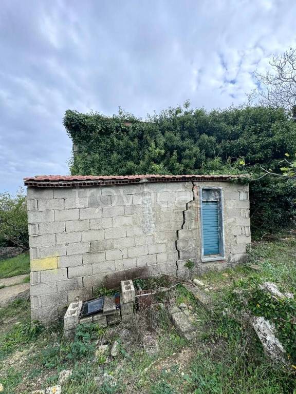 immagine annuncio 6 di 8