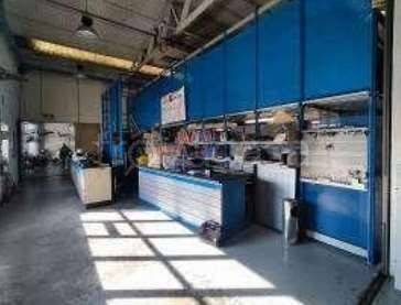 immagine annuncio 2 di 12