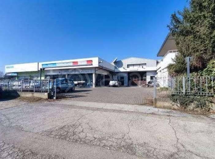 immagine annuncio 3 di 12