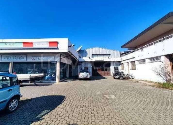 immagine annuncio 4 di 12