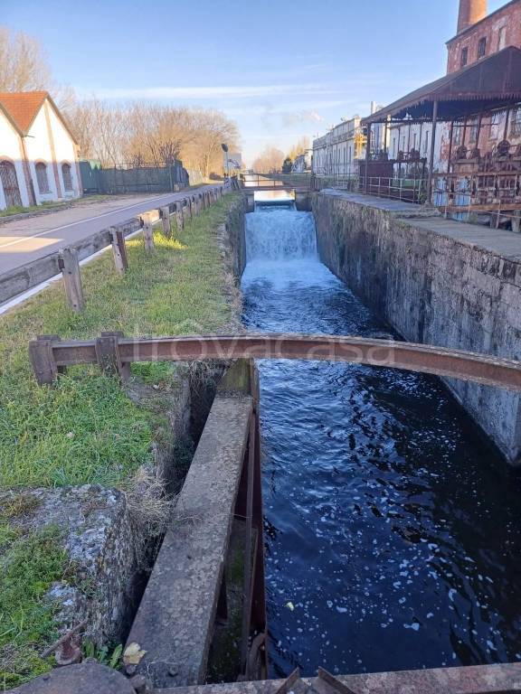 immagine annuncio 5 di 7