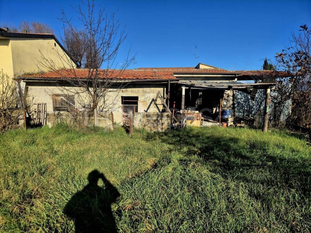 immagine annuncio 1 di 12